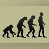 If evolution is real, why don't we see how humans are still evolving