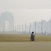 Delhi tops PM2.5 pollution list; 447 districts breach national norm: Report
