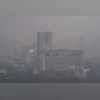 Smog, Delhi Pollution, Delhi Air Quality, Pollution