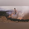 Incidents of paddy stubble burning down sharply 13% in 2025, shows data stubble burning
