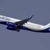 indigo airlines, indigo
