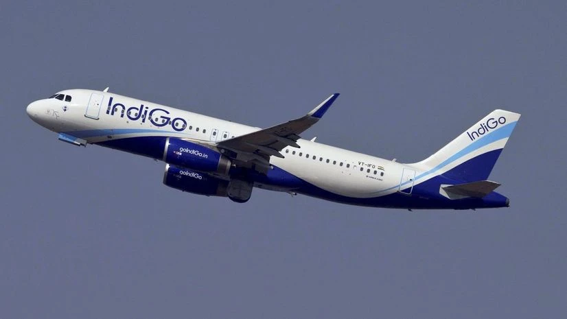 indigo airlines, indigo indigo airlines, indigo