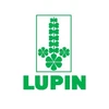 US portfolio, margin expansion to drive gains for pharma major Lupin Lupin