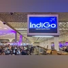 IndiGo share price today