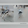 Robot dog 'PARAM' walks down Bengaluru Street, stuns locals; watch video