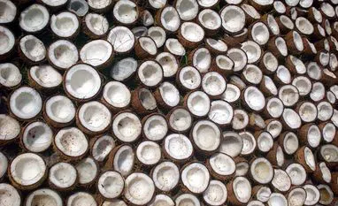 Centre sets 2026 copra MSP at ₹12,027 and ₹12,500 Copra, Copra MSP