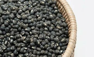 UP to open 50 urad procurement centres, MSP set at ₹7,800 per quintal Urad dal