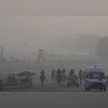 Delhi Winter, New Delhi Winter, Winter, Cold, Smog, Delhi Pollution, Delhi Air Quality, Pollution