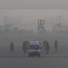 Delhi Winter, New Delhi Winter, Winter, Cold, Smog, Delhi Pollution, Delhi Air Quality, Pollution
