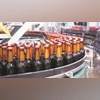 India's water scarcity, state laws creating risks for beverage giants United Breweries, UBBL, Beer market