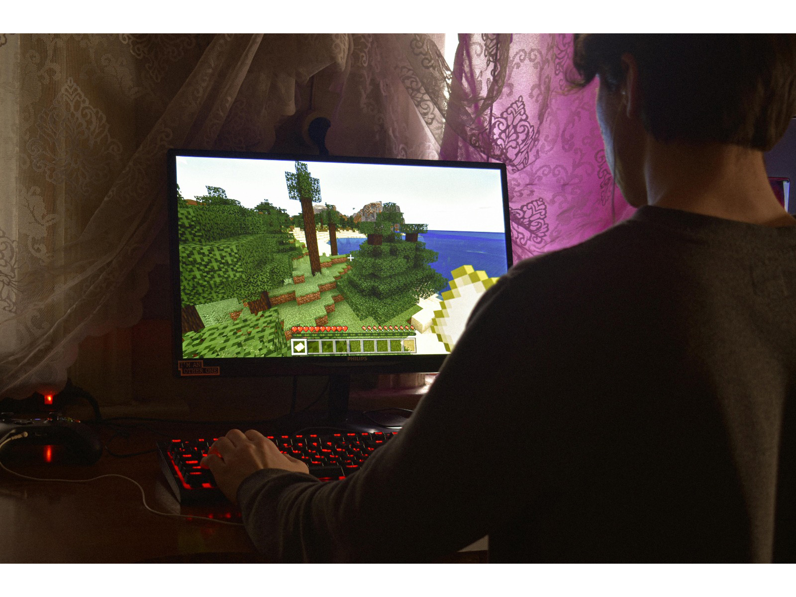 Tennis player James Blake