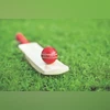Cricket, bat, ball Cricket, bat, ball