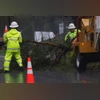 Winter storm hits southern California bringing flash floods, mudslides LA County Public Works staff remove a fallen tree, as heavy rains fall due to an atmospheric river, in Altadena, California | REUTERS