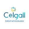 Ceigall India