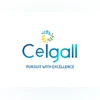 Ceigall India Ceigall India