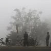 Jammu Fog, Jammu Winter, Fog