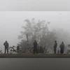 Jammu Fog, Jammu Winter, Fog Jammu Fog, Jammu Winter, Fog