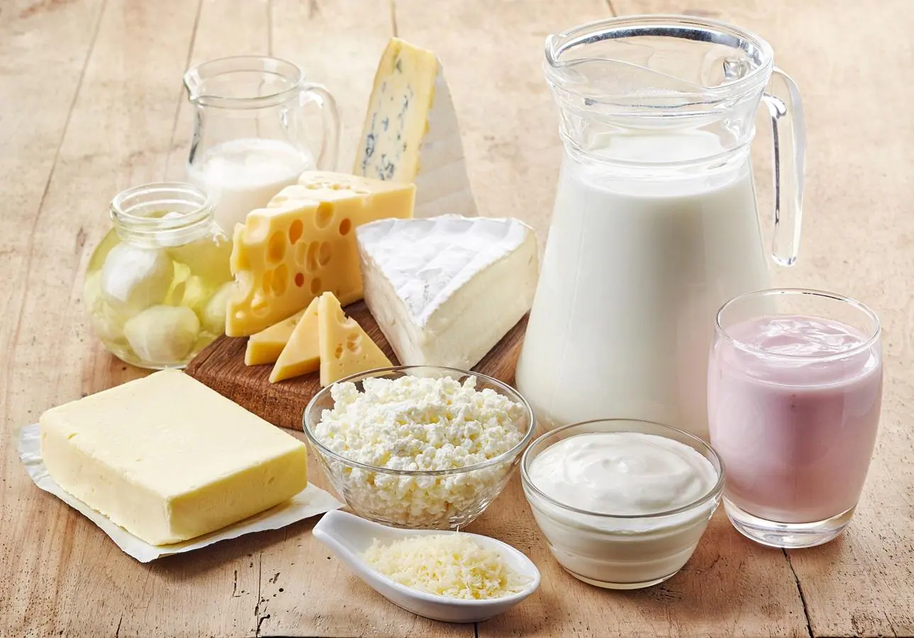 Milky Mist posts eight-fold rise in Q1 net profit to ₹65 crore