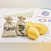 SIF launches set to pick up as fund houses line up debut schemes Fund