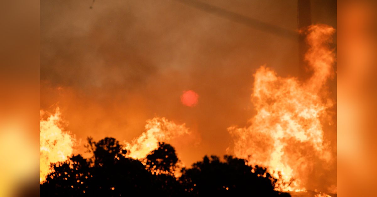 Fire at chemical factory in Rajasthans Bhiwadi kills 7, two trapped inside