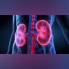 kidney health kidney health
