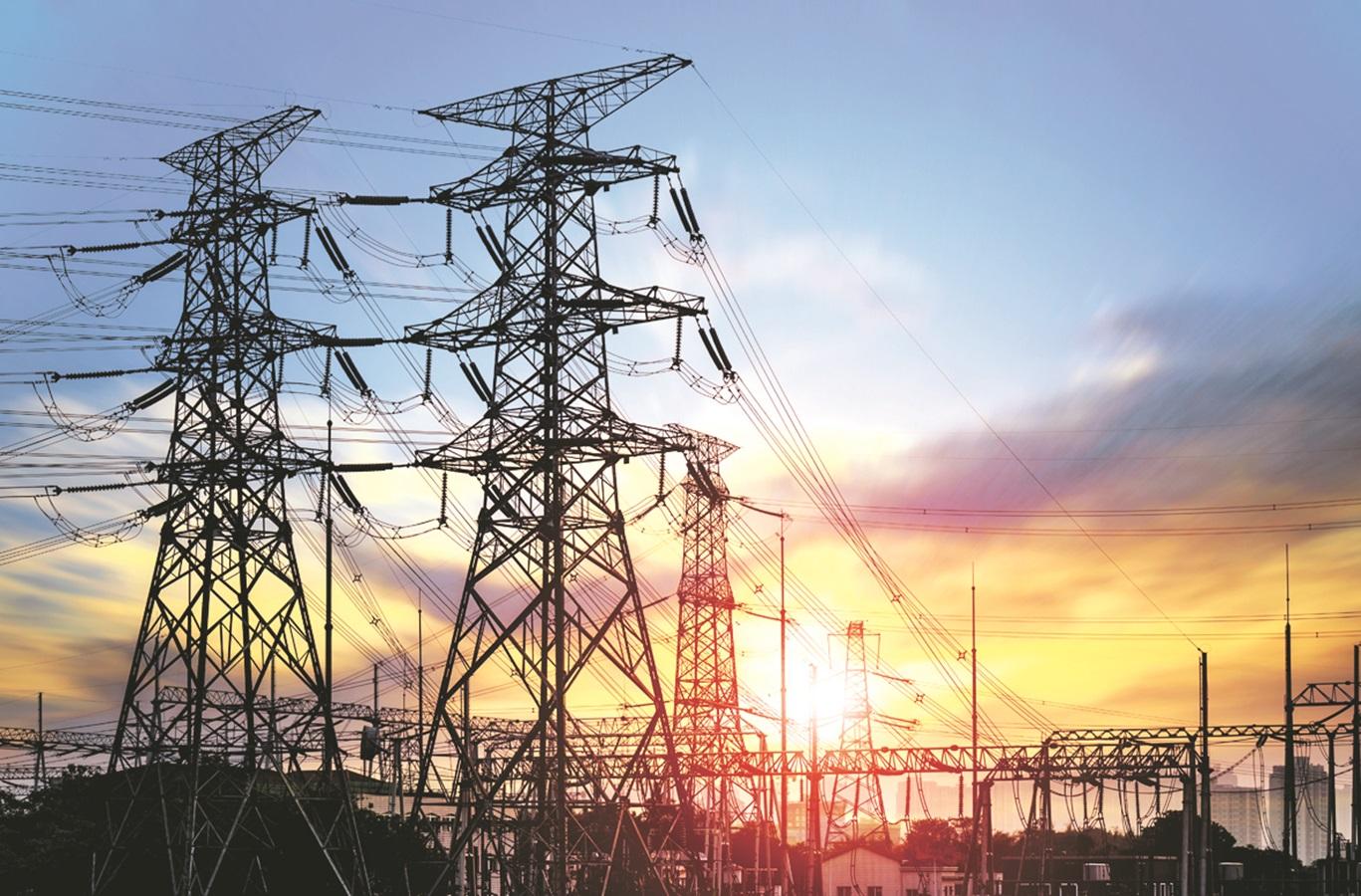 Energy mix needed to meet long-term power demand: Union Power Secretary