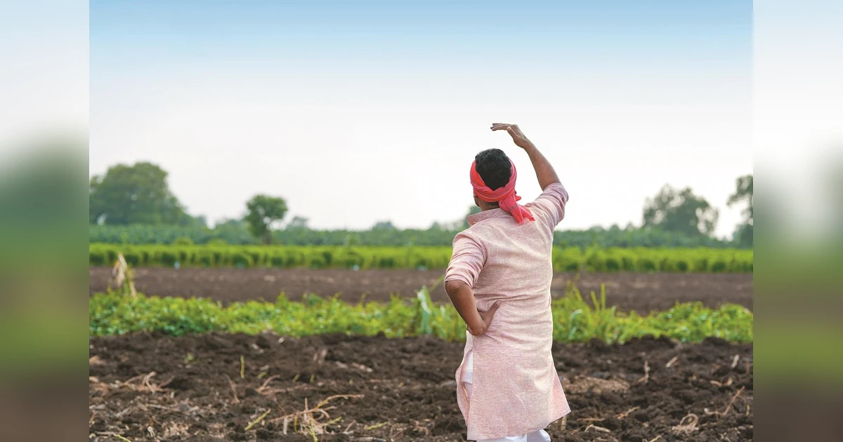 Rajasthan govt actively pushes natural farming; 250K farmers on board