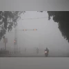 Fog, New Delhi Fog, Winter, Delhi Fog Fog, New Delhi Fog, Winter, Delhi Fog