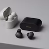 Sony WF-1000XM6 earbuds