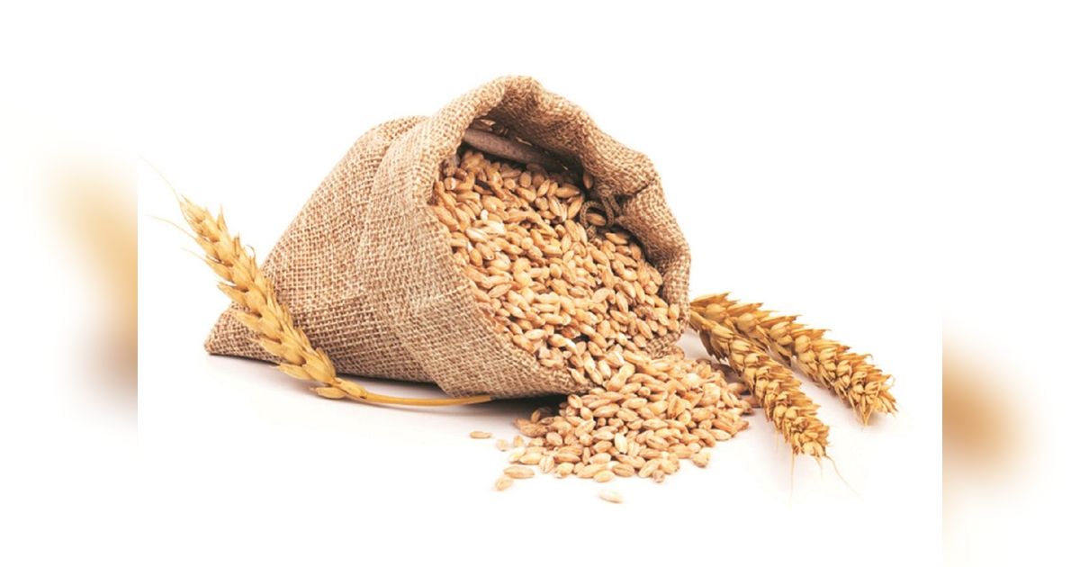 Sweet & staple: Govt pushes wheat, sugar exports despite weak global parity  www.business-standard.com