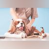 New breed in India's pet care drives shift beyond product as demand rises Industry estimates cited by Right4Paws show India's dog population rising from roughly 19 million to 35 million over the past five years