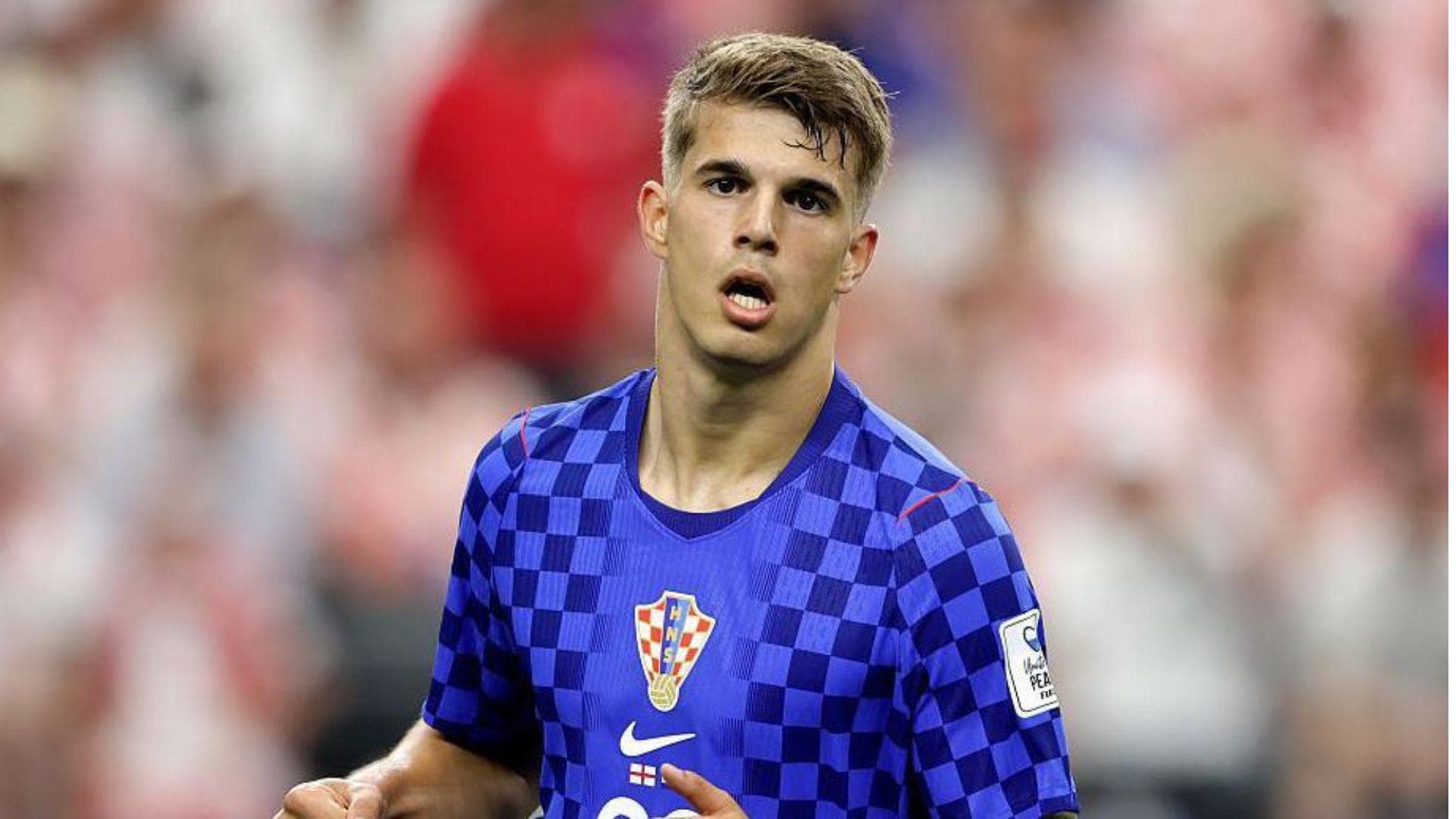 19-year old Croatia defender Luka Vuskovic joins Brighton from