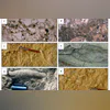 Limestone structure Limestone structure