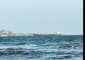 World stares at food supply chaos as Russia attacks grain ships
