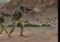 18 US troops killed so far, number of injured crosses 750 in Iran war