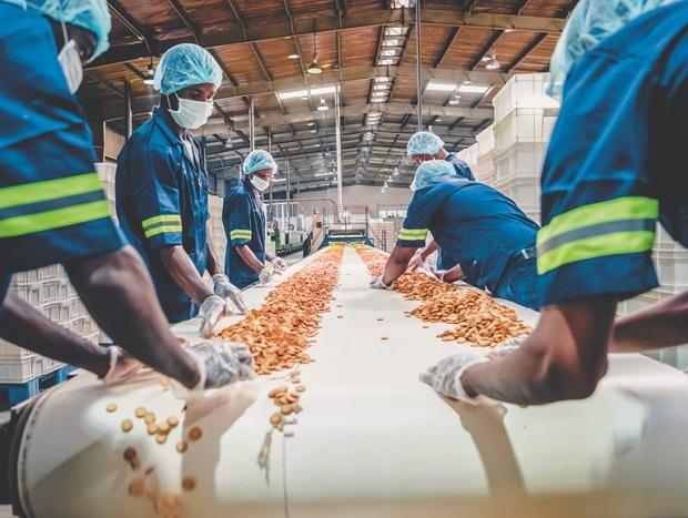 Focus on food processing