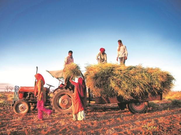 Fixing farm insurance