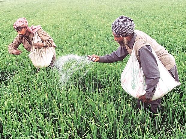 Looming fertiliser shortage Looming fertiliser shortage