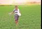 UPL, Deepak Fertilisers, SRF, UPL slip up to 6% amid West Asia jitters