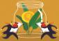 MFs share in NSE listed companies hits new high; FIIs at 14-year low: PRIME