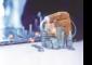 Midcap index scales all-time high despite flat close for benchmarks