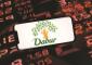 Dabur India stock surges 4% after Q4 results; should investors buy now?