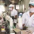 Parag Milk jumps 6% on launching milk-based protein drink in Tetra Pak
