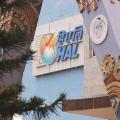 Hindustan Aeronautics falls 5% on Q4 results; weak margins drag sentiment