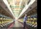 Grasim rises 5% to 52-week high on strong Q4; analysts back growth roadmap