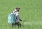 Rashtriya Chemicals and Fertilizers jumps 9% on posting strong Q4 results