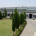 Ashish Dhawan portfolio stock Greenlam zooms 19%; here's why