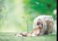 Mutual funds stepped up equity buying in May after a lacklustre April