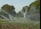 Jain Irrigation zooms 13% on commissioning biochar reactor in Jalgaon