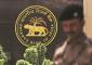 How markets are likely to react to RBI's interest rate and policy guidance